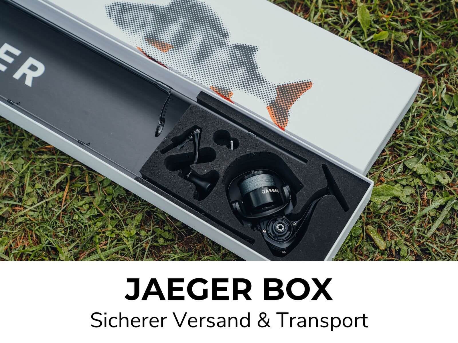 PERCH GO KIT 2 - BARSCH STARTER COMBO - Image 10