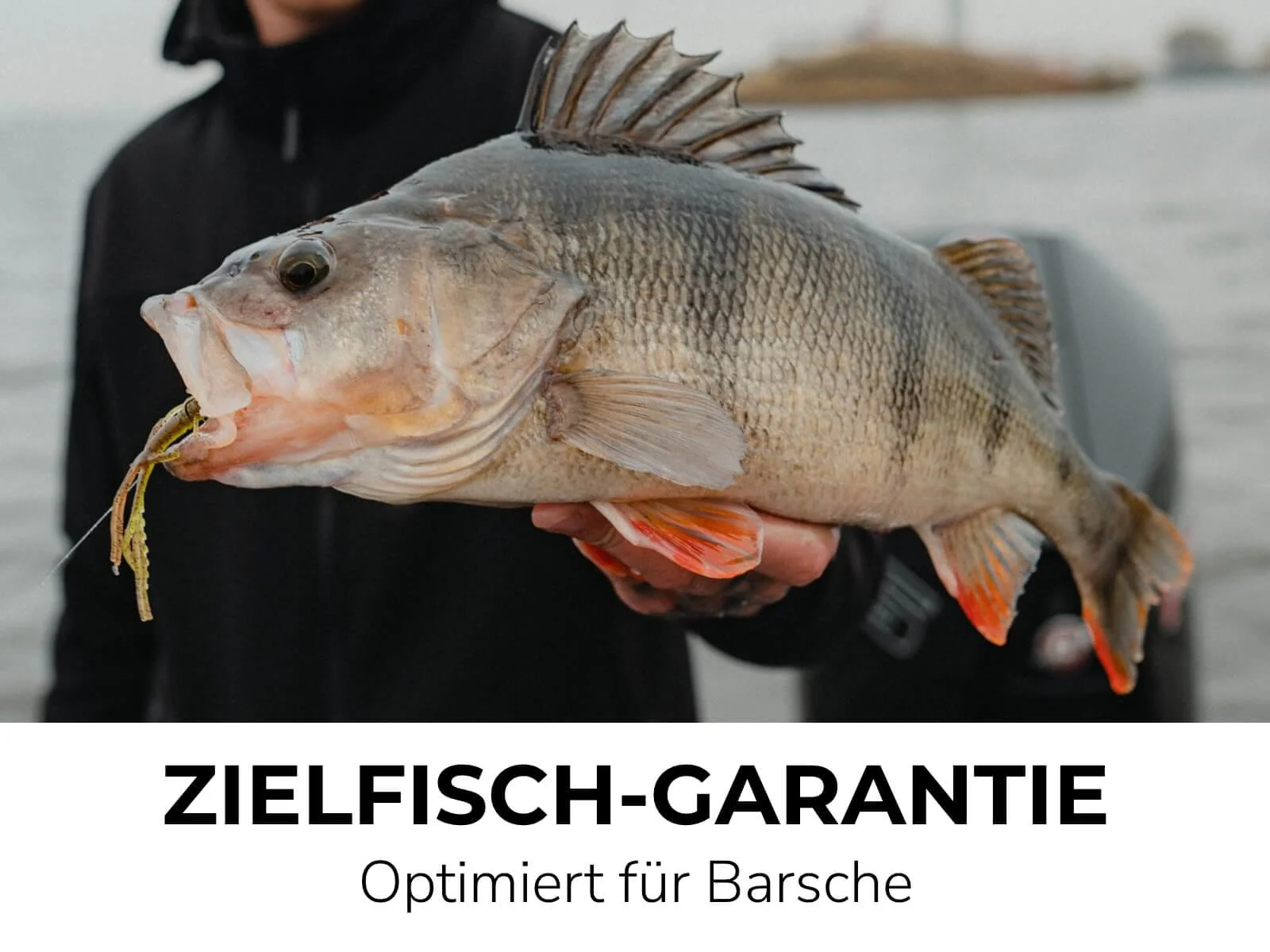 PERCH GO KIT 2 - BARSCH STARTER COMBO - Image 4