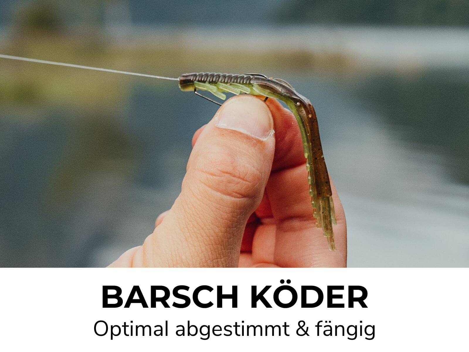 PERCH GO KIT 2 - BARSCH STARTER COMBO - Image 8