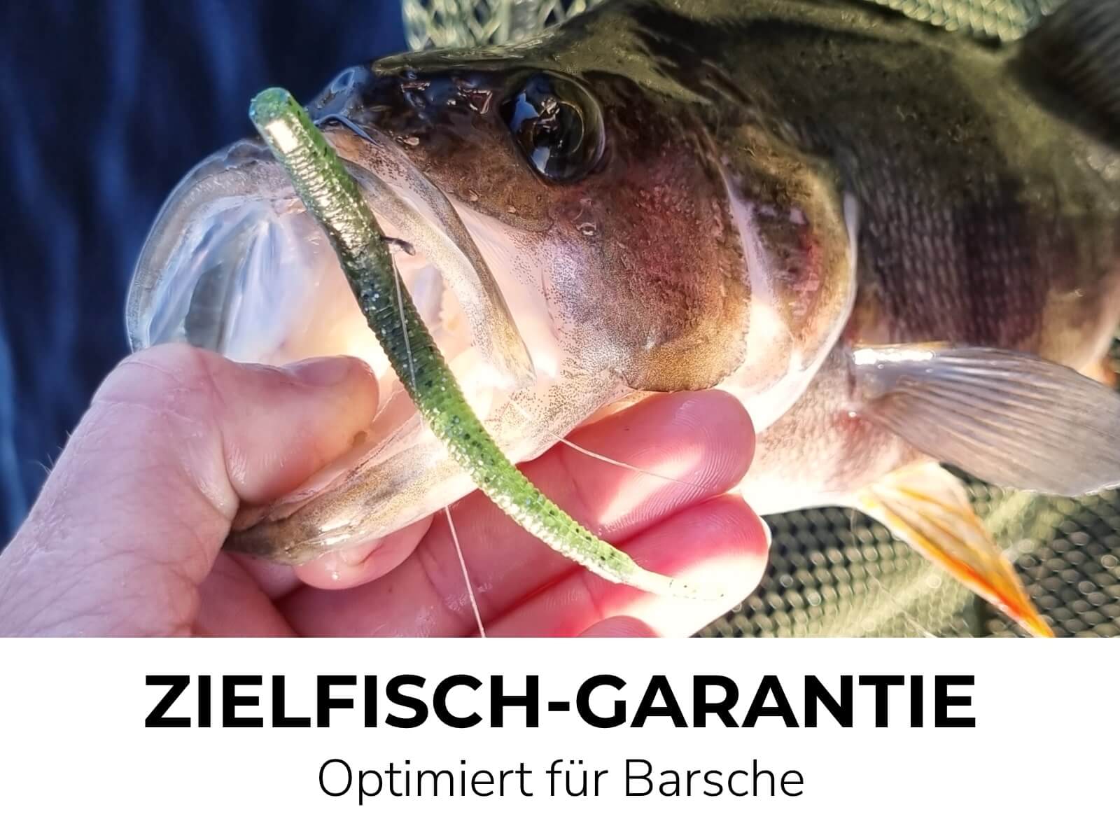 OPIS (8 Stück) - Barsch Gummiköder - Image 20