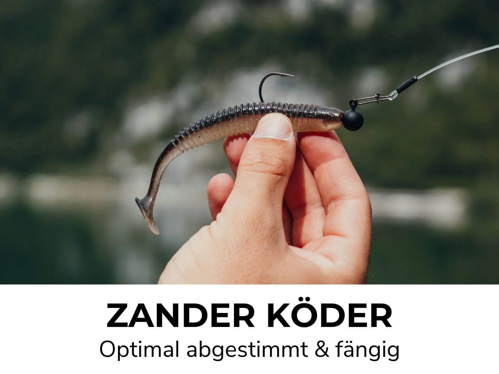 ZANDER GO KIT - Zander Starter Combo - Image 8